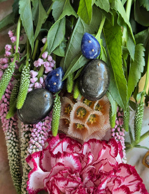 Mobile Earrings Sodalite Golden Obsidian